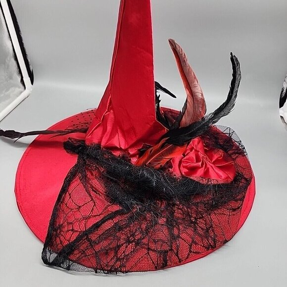 Red And Black Witch Wide Brim Hat with Feathers & Veil Cap - One Size Costume - Picture 4 of 5